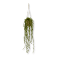 thumbnail image 1 of Bouclair Green Hanging Leaves, 1 of 3