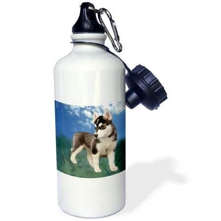 

3dRose Siberian Husky Puppy Sports Water Bottle 21oz