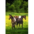 thumbnail image 2 of Alan Hausenflock 4x24 White Modern Wood Framed Wall Art Titled - The Horses Three I, 2 of 5