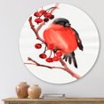 thumbnail image 2 of Designart 'Red Bullfinch Bird Sitting On A Branch With Berries' Traditional Circle Metal Wall Art 11x11 - Disc of 11, 2 of 5