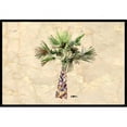 thumbnail image 1 of Carolines Treasures 8480JMAT 24 x 36 In. Palm Tree Indoor or Outdoor Mat, 1 of 4