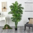 thumbnail image 2 of Nearly Natural 6' Curvy Parlor Palm Artificial Tree, Green, 2 of 4