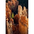 thumbnail image 3 of Head, Danny 11x14 Black Modern Framed Museum Art Print Titled - Two Pines, 3 of 5
