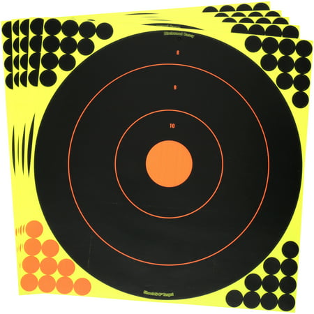 Birchwood Casey Shoot-N-C Targets: Bull's-Eye (Best Bow For Archery Target Shooting)