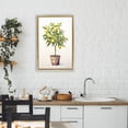 thumbnail image 2 of Stupell Industries Citrus Tree Serenade Gold Framed Floater Canvas Wall Art design by Andrea Haase, 25 x 17, 2 of 9