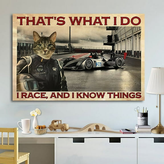 Cat Race That'S What I Do I Race Paper Poster No Frame Matte Wall Art Decor 11 x 17 Inch Poster