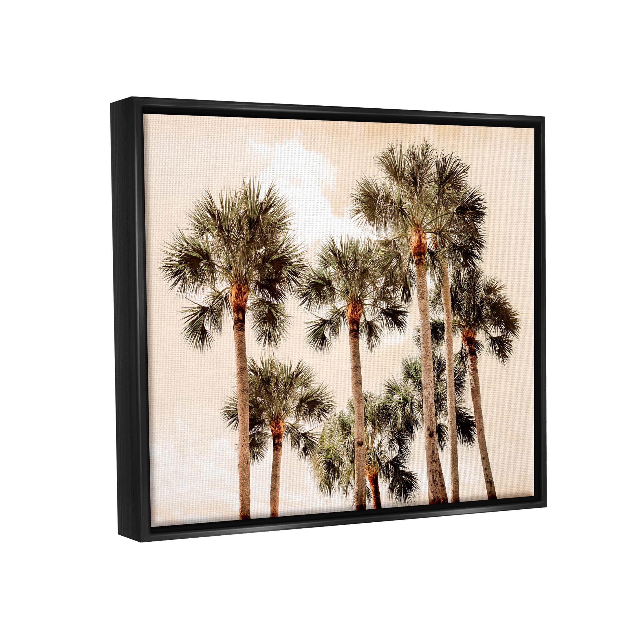 Summer Palm Trees Sky Landscape Photograph Jet Black Framed Art Print Wall Art
