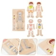 thumbnail image 2 of CIMAXIC 1Pc Multi-layer Jigsaw Puzzle Toy Body Structure Puzzle Toy Kid Intelligence Toy,11.42"X6.57"X0.79", 2 of 4