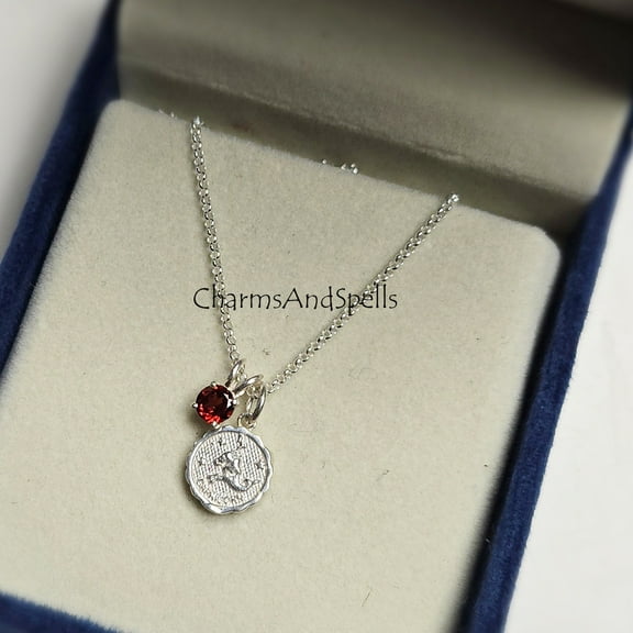 Capricorn Zodiac Necklace With Garnet Birthstone, Minimalist Capricorn Zodiac Necklace, 925 Silver Jewelry, Horoscope Sign Necklace, Gift