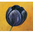 thumbnail image 2 of Schottler, Katharina 29x26 Black Ornate Wood Framed with Double Matting Museum Art Print Titled - Purple tulip I, 2 of 4