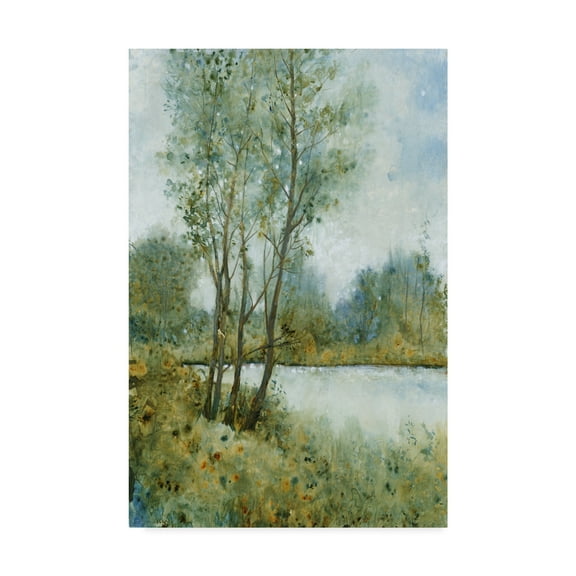 Tim Otoole 'Early Spring Ii' Canvas Art