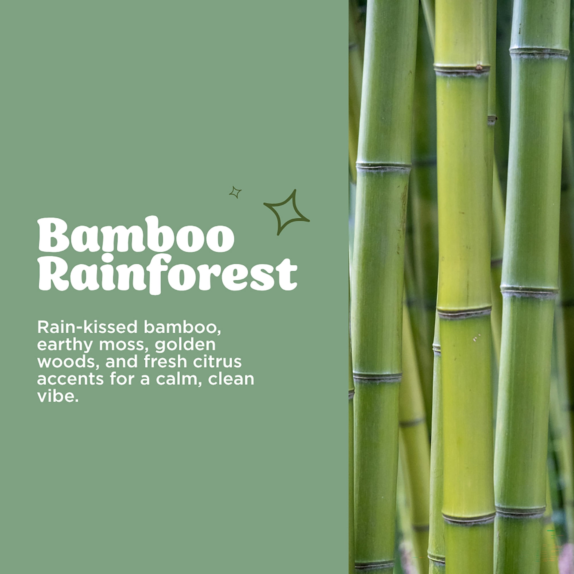 Citrus Magic Odor Eliminating Air Freshener and Room Spray, Bamboo Rainforest, 6-Ounce