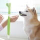 thumbnail image 2 of Juego de cepillos de dientes de dedo para mascotas, cepillo de limpieza para perros de plástico apto para uso alimentario, 2 of 5