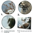 thumbnail image 3 of Designart "Monochrome Photography Winter Deer painting II" Animals Wall Art Living Room, 3 of 5