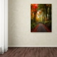 thumbnail image 3 of Trademark Fine Art "The Lost Path" Canvas Art by Philippe Sainte-Laudy, 3 of 3