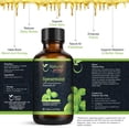 thumbnail image 2 of Spearmint Essential Oil for Diffusers, 2 of 9