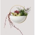 thumbnail image 2 of Porte-plante en Anneau d'Or Coelho 10 Po, 2 of 2