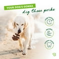 thumbnail image 3 of Benebone Fishbone Durable Dog Chew Toy for Aggressive Chewers, Real Fish, Giant, 3 of 6