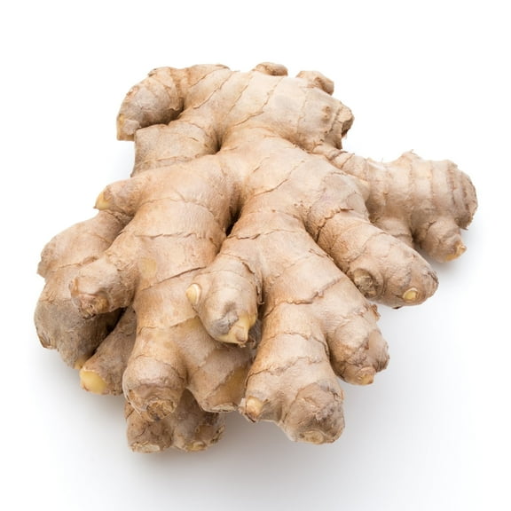 Fresh USDA Organic Ginger Root – Zesty, Potent & Pure – Natural Superfood for Health