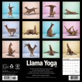 thumbnail image 2 of Llama Yoga 2026 12 X 12 Wall Calendar, (Hardcover), 2 of 5