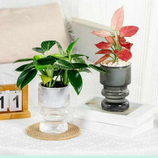 Sentmoon Pots for Plants Transparent Hydroponic Small Potted Plant Pots, Indoor Living Room Desktop Transparent Hydroponic Plastic Flower Pots, A Must For Green Plant Lovers, Transpare