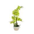thumbnail image 2 of Yuarrent Orquídeas artificiales Flor Decoración para el hogar Ligero Decoración falsa Plantas Cuenco blanco Olla Cocina Oficina Balcón Decoración Verde Yuarrent HA084089-01, 2 of 6