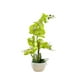 thumbnail image 2 of Bearachild Orquídeas artificiales Flor Decoración para el hogar Ligero Decoración falsa Plantas Cuenco blanco Olla Cocina Oficina Balcón Decoración Verde Bearachild HA084089-01, 2 of 6