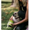 thumbnail image 2 of Limpiador Portátil para Patas Dexas Verde Pequeño, 2 of 5