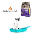thumbnail image 2 of Arena Para Gato Aglutinante OdourLock Lavanda - 6 Kg Intersand OdourLock, 2 of 3