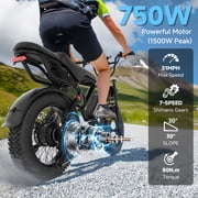 AOVOPRO AP20 Electric Bike for Adults 20 X 4.0 Fat Tire, 750W Off-Road E Bike, E-Mountain Bike 48V 18AH UL2849