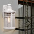 thumbnail image 4 of Luces de pared para exteriores Darkaway, paquete de 2 unidades, vidrio con semillas impermeables, 4 of 9