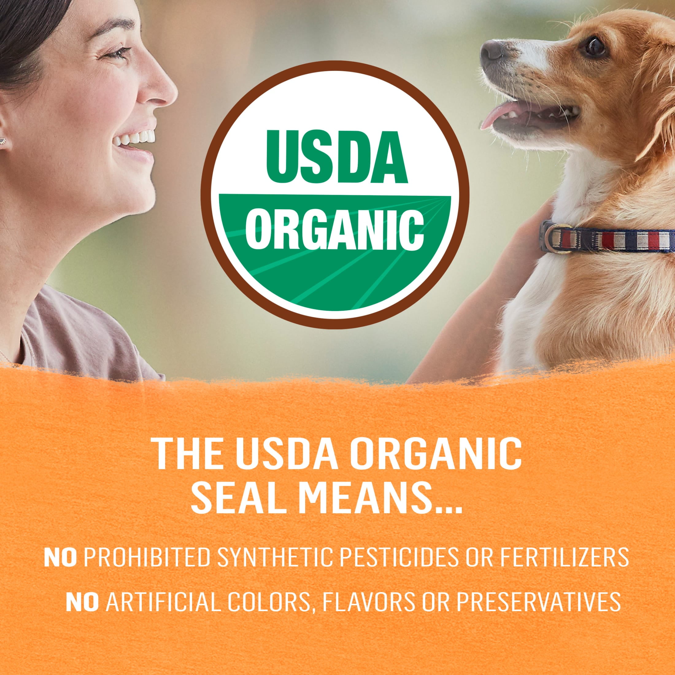 Purina Beyond Organic Wet Dog Food Ground Entree in Broth, Chicken & Carrots, 13 oz Can