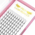 thumbnail image 1 of Extensiones de pestañas Premade Fans PRO LASHBEAUTY 6D-D-0.07-9-16, 1 of 9
