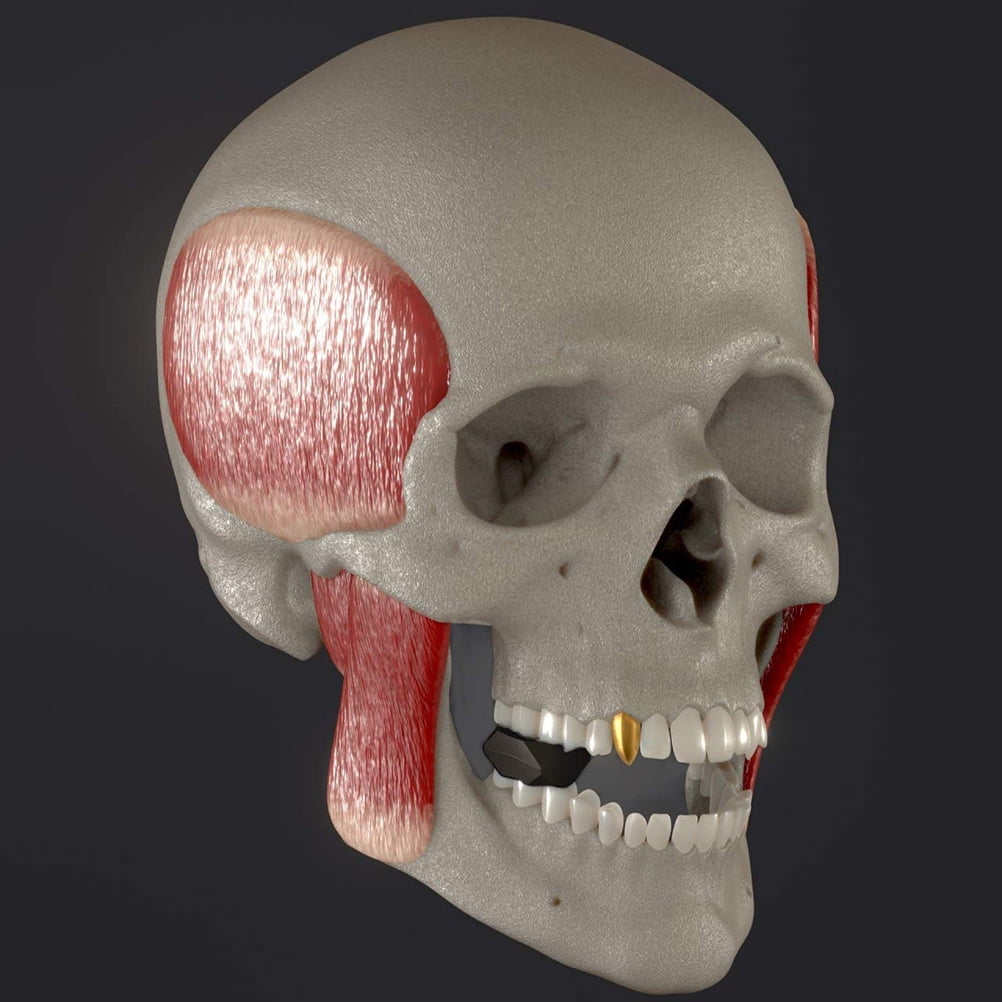 Exerciseur De Mâchoire En Silicone Huayeex – 2 Pièces, Tonifie Visage Et Cou | Réducteur Double Menton, Affinement Visage | Silicone Alimentaire, 40-60 Lbs - 4
