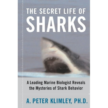 The Secret Life of Sharks : A Leading Marine Biologist Reveals the Mysteries of Shark (Best Colleges To Become A Marine Biologist)