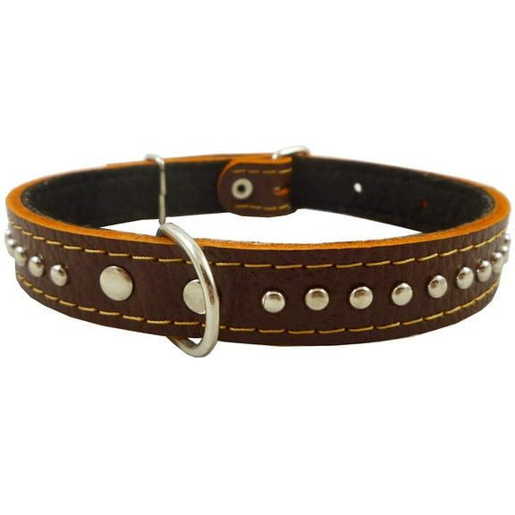 Genuine Leather Studded Padded Dog Collar 18" Long 3/4" Wide Fits 12"-14.5" Neck (Brown)