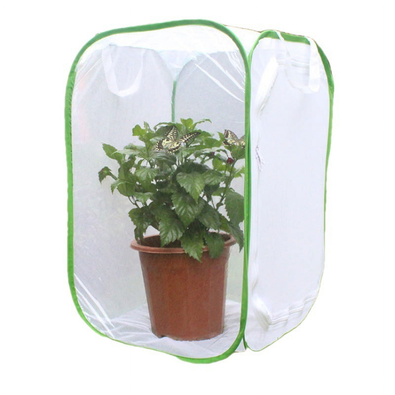 Cage D'habitat D'insectes Et De Papillons, Kit De Papillons D'insectes