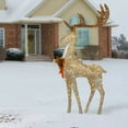 thumbnail image 3 of National Tree Company Pre-Lit  Champagne Buck, Warm White LED Lights, Twinkling, 55 Inch,  Indoor or Outdoor Use., 3 of 4