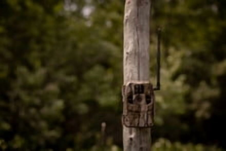 Stealth Cam Connect Max 2.0 Cellular Trail Camera