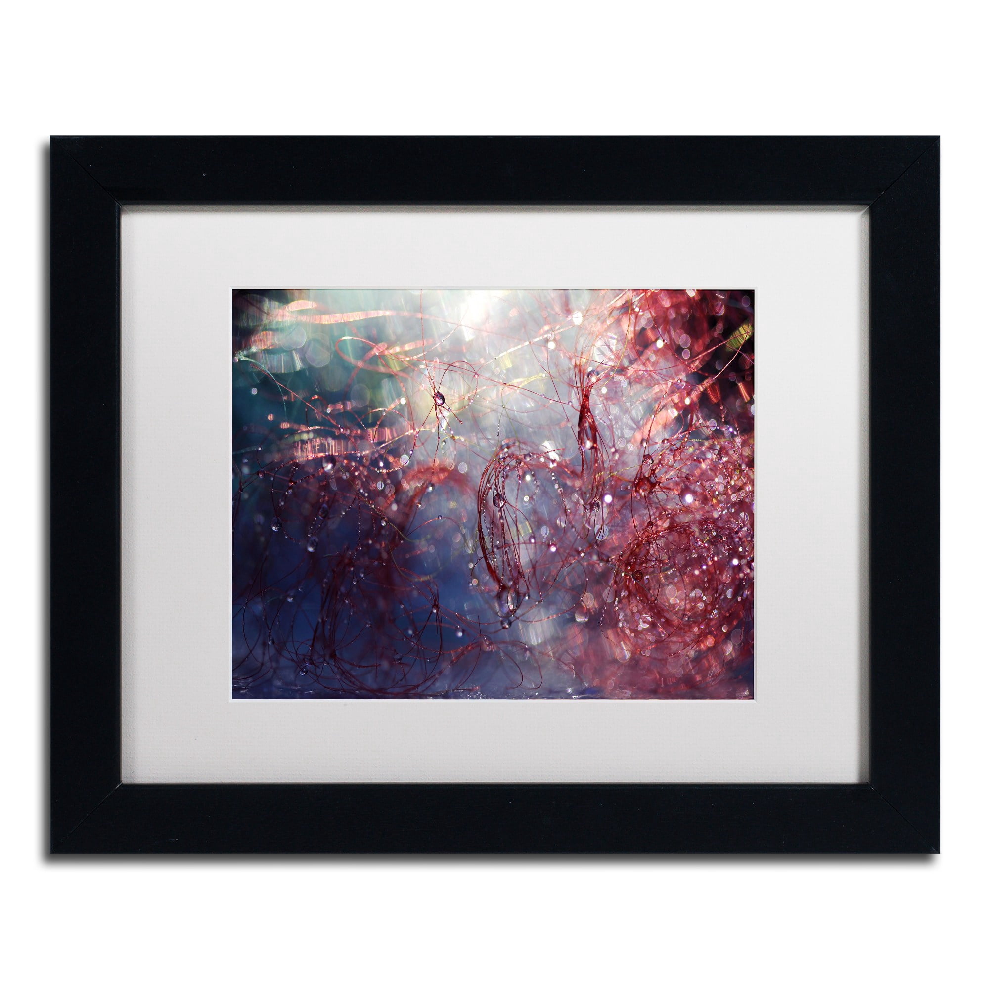 Trademark Fine Art "Adventures of Red" Canvas Art by Beata Czyzowska Young, White Matte, Black Frame