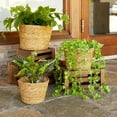 thumbnail image 6 of Plant Baskets Indoor with Liner,3Pcs Woven Planter Basket,3 Sizes Natural Seagrass Woven Plant Pots Flower Pots Baskets Plant Containers Storage Basket for Indoor Outdoor Garden Home Decoration, 6 of 8
