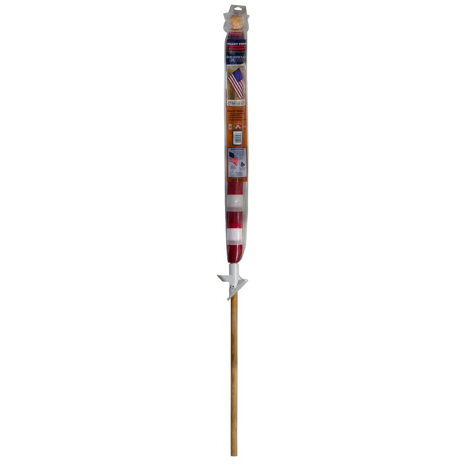 Valley Forge AA99050 Flag Set n 2.5 ft. H X 4 ft. W Multicolored