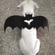 thumbnail image 2 of Ropa para gatos, disfraz de perro y gato, arnés para perros, arnés para mascotas, chaleco multifuncional Jadeshay A, 2 of 8