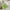 Green, variant on KCEHTA Outdoor Chair Cushions, Patio Chair Cushions, Indoor/Outdoor Chair Seat Cushion, Desk Chair Cushion, Square Seat Cushion for Kitchen, Dining Room, Office