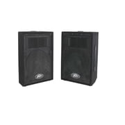 Peavey PVi 10 2-Way Speaker System