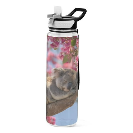 BZSMCE Sport Bottle Branch Koala Outdoor sports Water Bottle Size: 10.4x3in