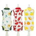 thumbnail image 5 of Chirurgie d'Été pour la Stérilisation des Chats après la Récupération pour les Chats, 5 of 5