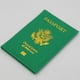 thumbnail image 4 of Naiovety Funda para pasaporte de 4 piezas, portatarjetas de identificación portátil de viaje, bolsa organizadora, funda para pasaportes de Ropa Deportiva, Zapatos, 4 of 6