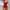Red, variant on RYDCOT Womens One Piece Swimsuit Tummy Control Drawstring Bathing Suit Solid Color Full Coverage Swimwear with Adjustable Straps Beach Outfits