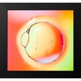 thumbnail image 2 of Zocchi, Alessandro 16x15 Black Modern Framed Museum Art Print Titled - Eye Of Light, 2 of 5